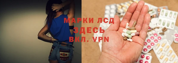 крисы Сатка