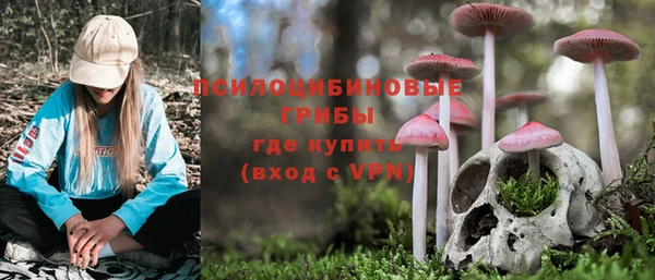 хмурый Белоозёрский