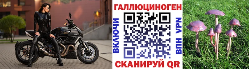 Псилоцибиновые грибы Magic Shrooms  наркота  Славгород 
